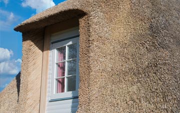 Lochyside thatch roof disadvantages